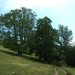 Buchen am Gardasee, auf dem Monte-Baldo-Kamm (2005)